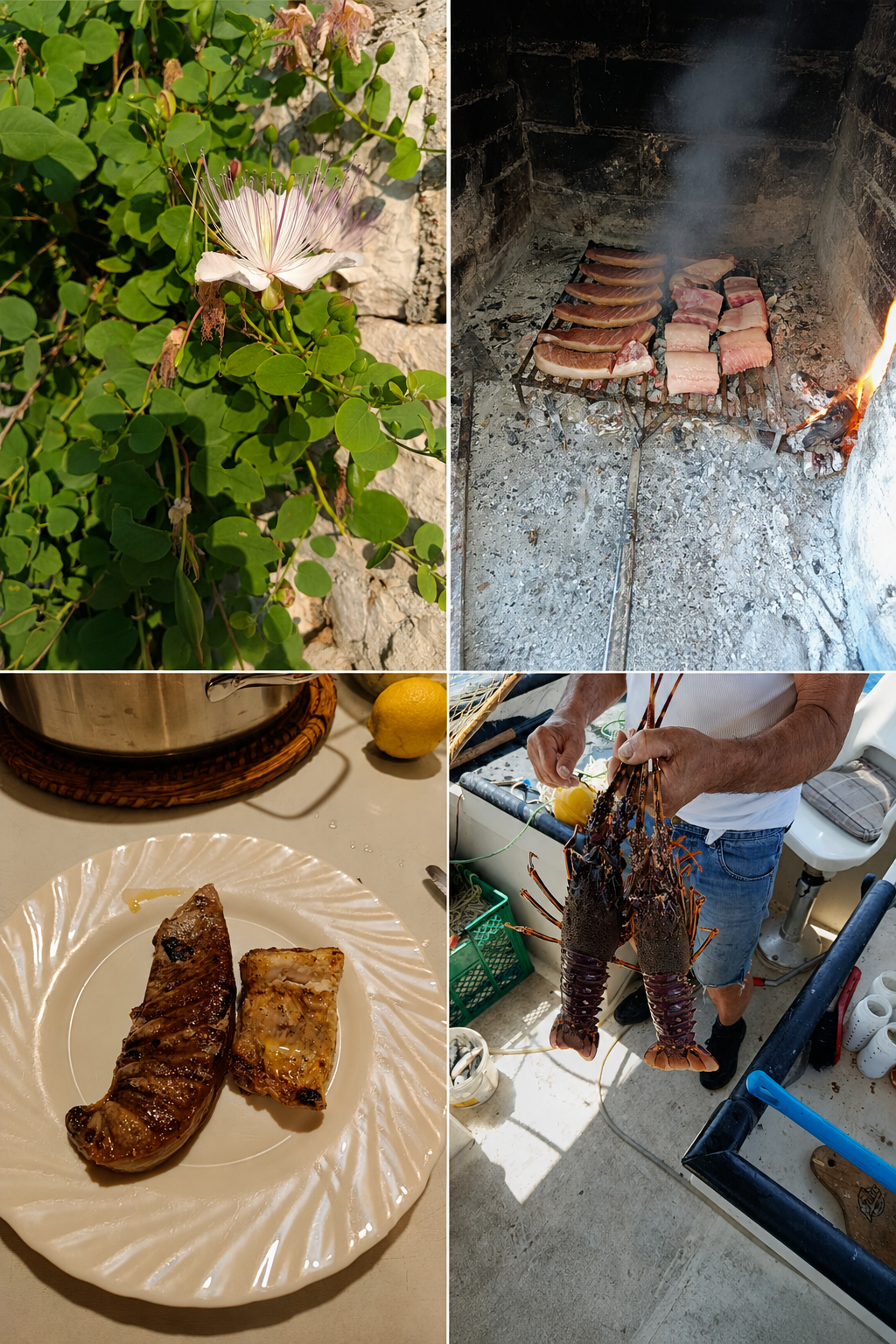 Moja pamet...testing, testing - slika 1