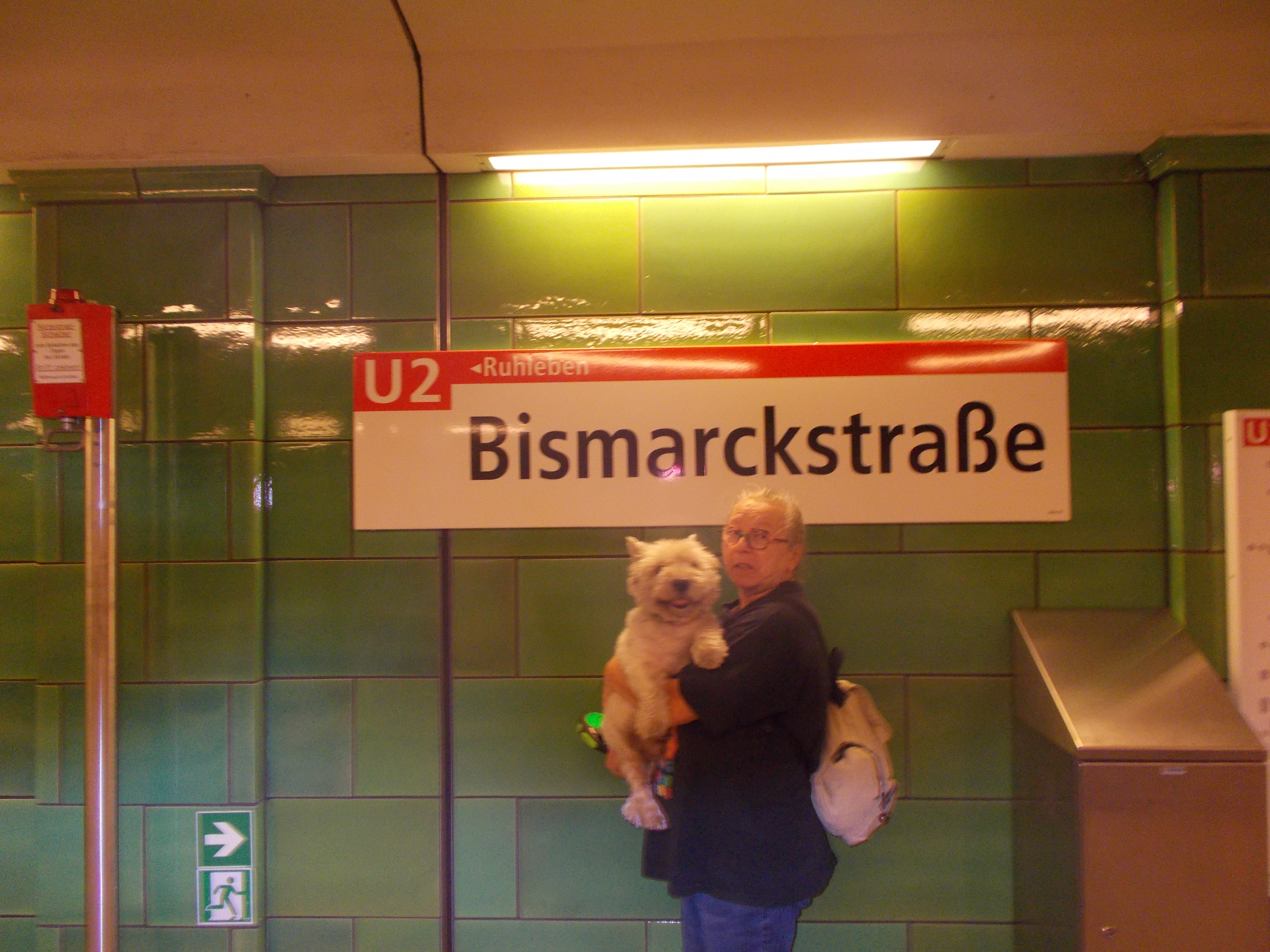 Anarhist u Bismarckovoj ulici - slika 1