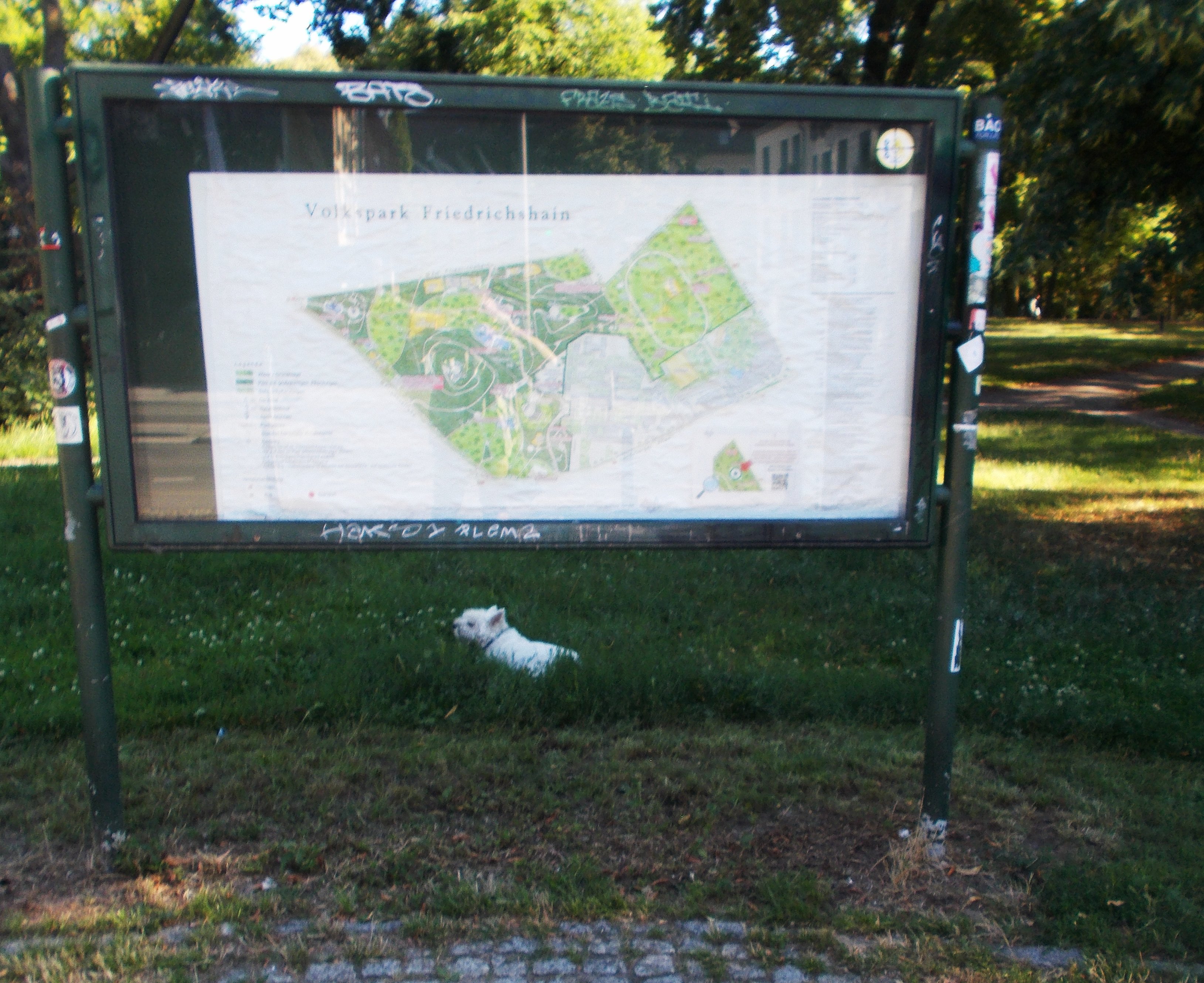 Majmuni s kolodvora Zoo - slika 4