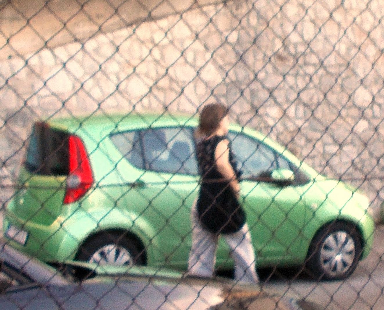 Divljakuše i rajčice - slika 4