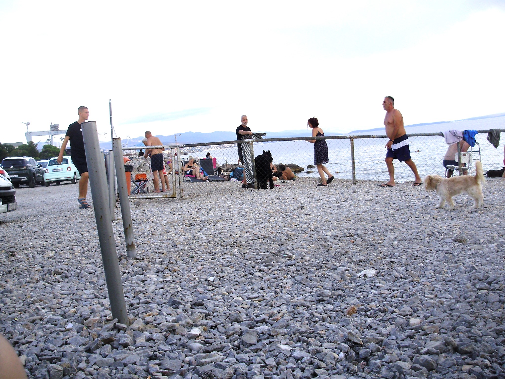 Posao, poezija ,psi, plaža i neuklopljeni jezici - slika 4
