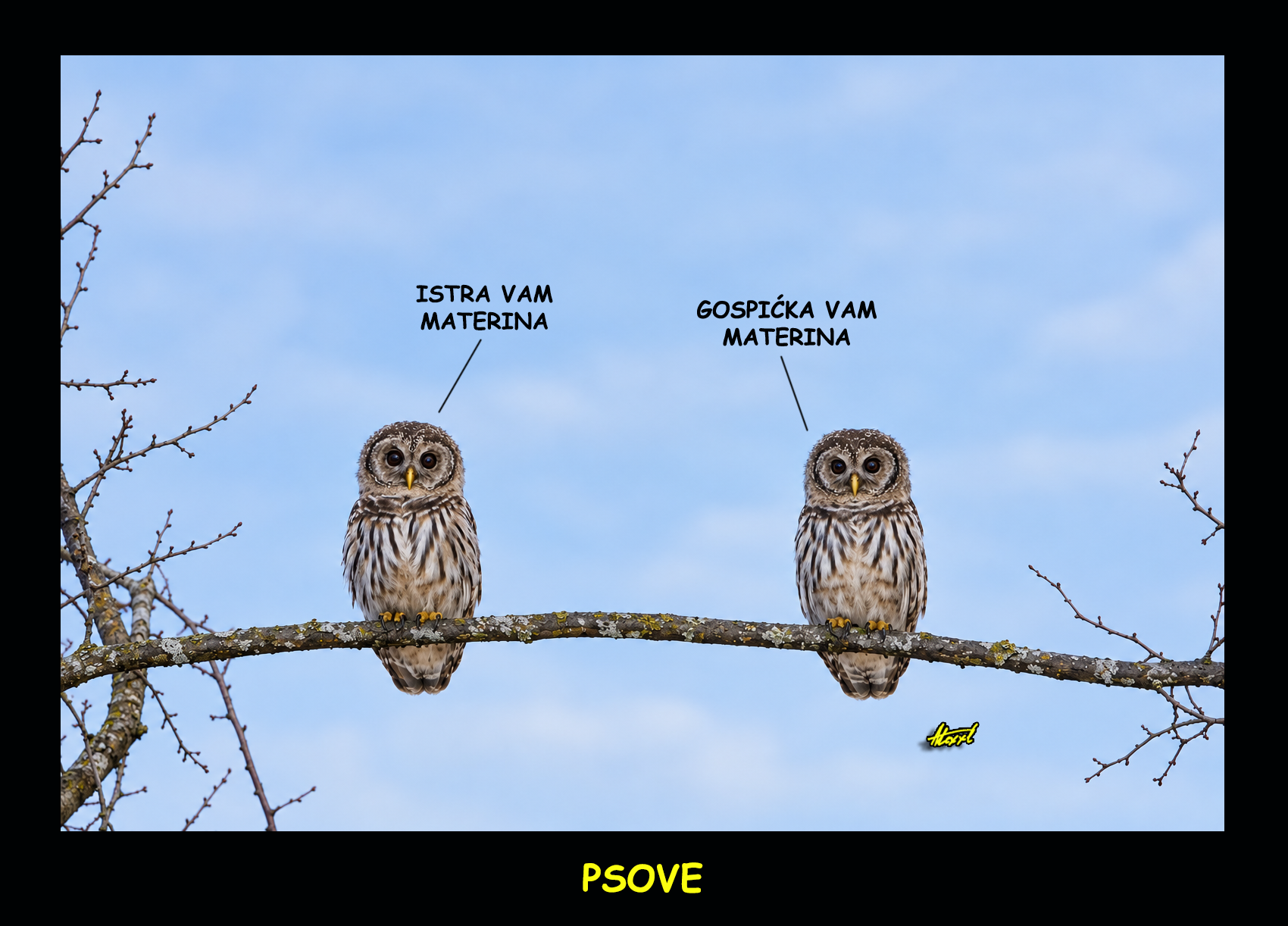 Košmar - slika 4