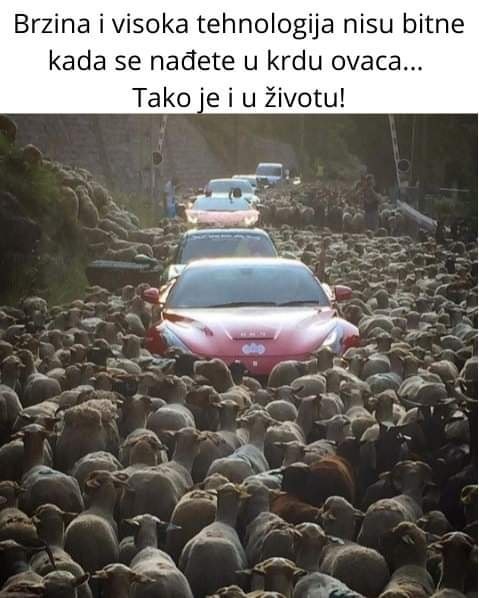 životinjsko carstvo hehe - slika 2